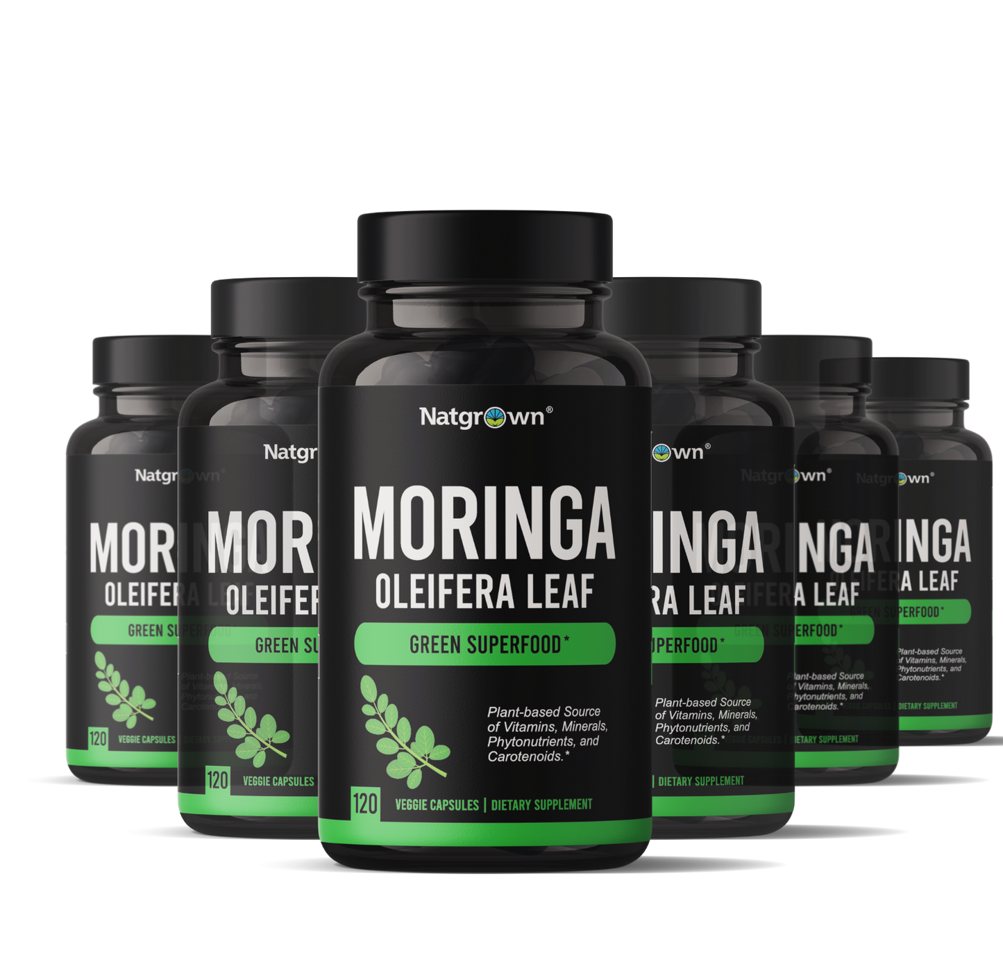 Moringa Oleifera