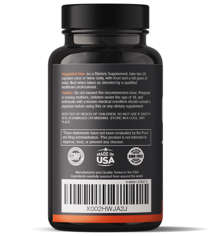 Panax Ginseng with Ginkgo Biloba