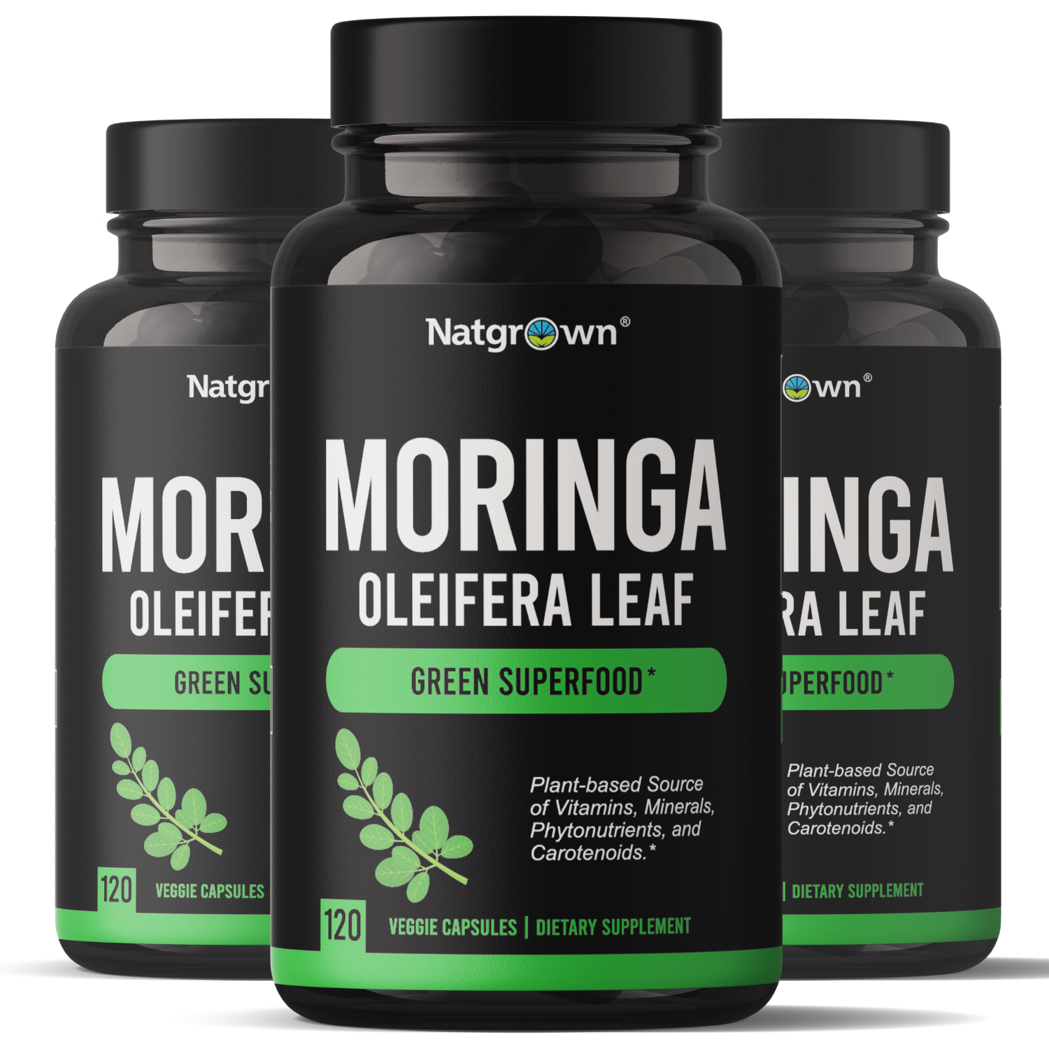 Moringa Oleifera
