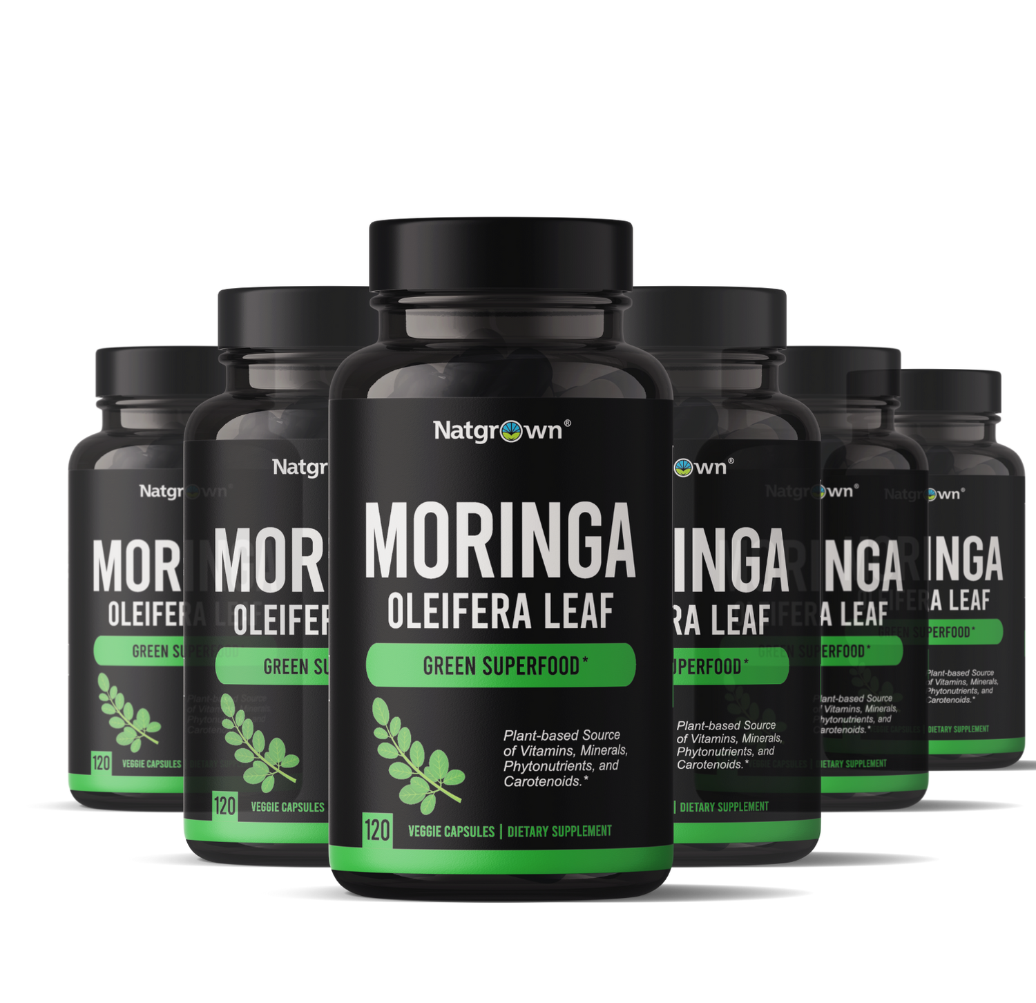 Moringa Oleifera
